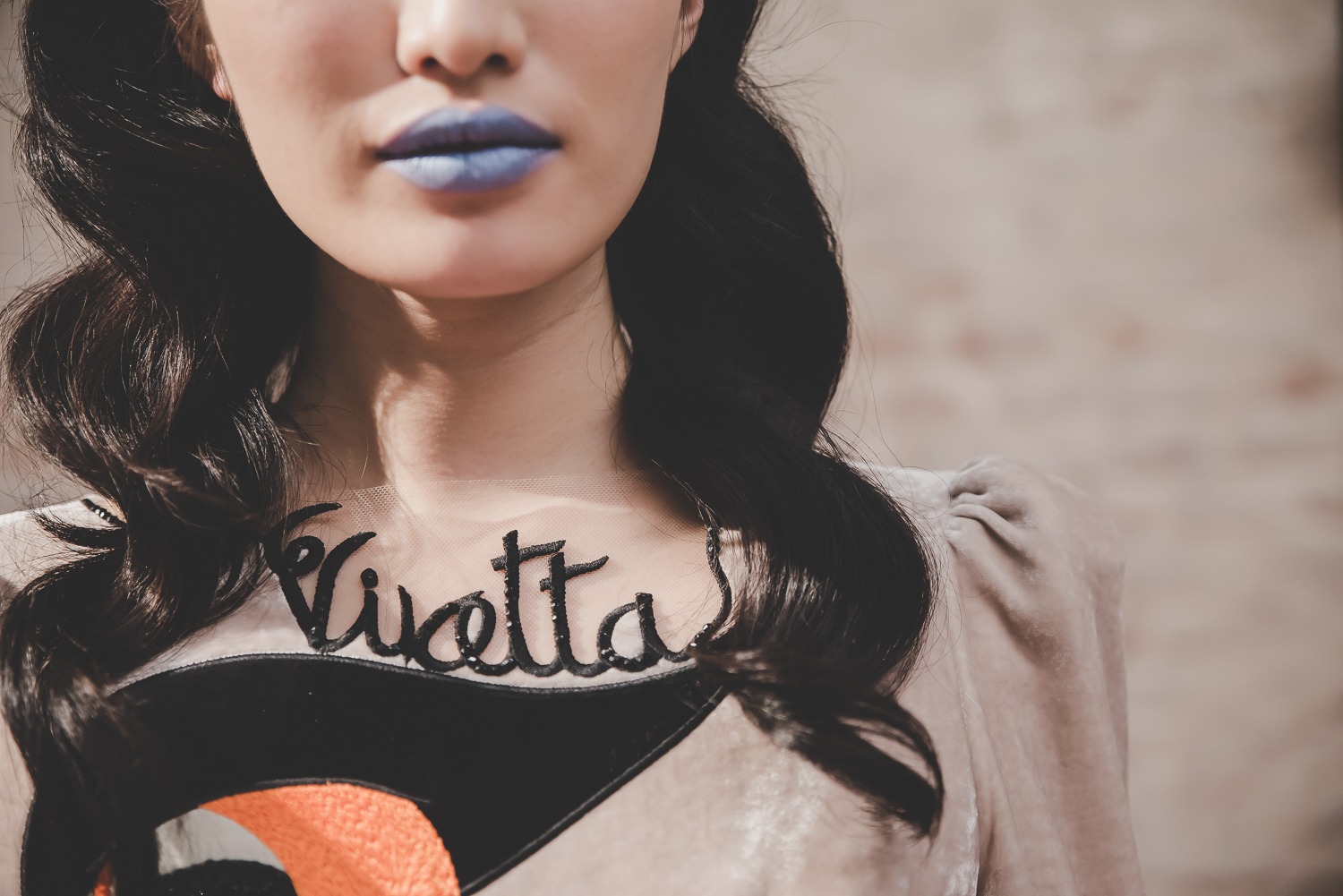 Mame Fashion Dictionary: Vivetta Collection 2017